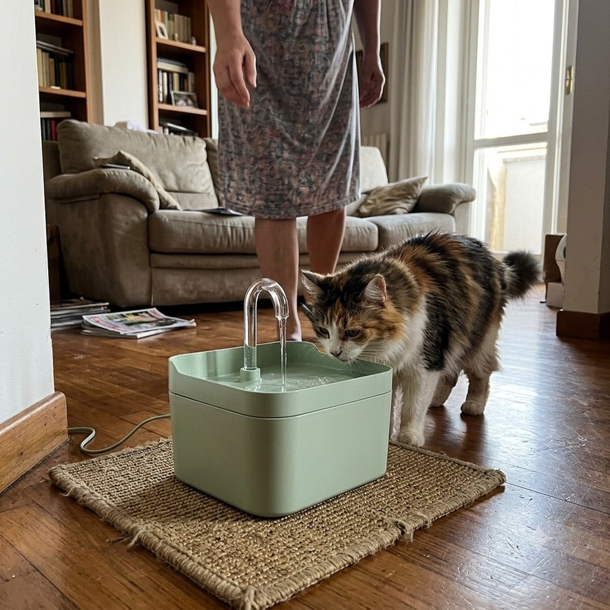 FonteViva™ - Il modo naturale per far bere di più il tuo gatto.🐾